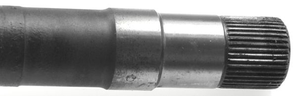 Kép 4