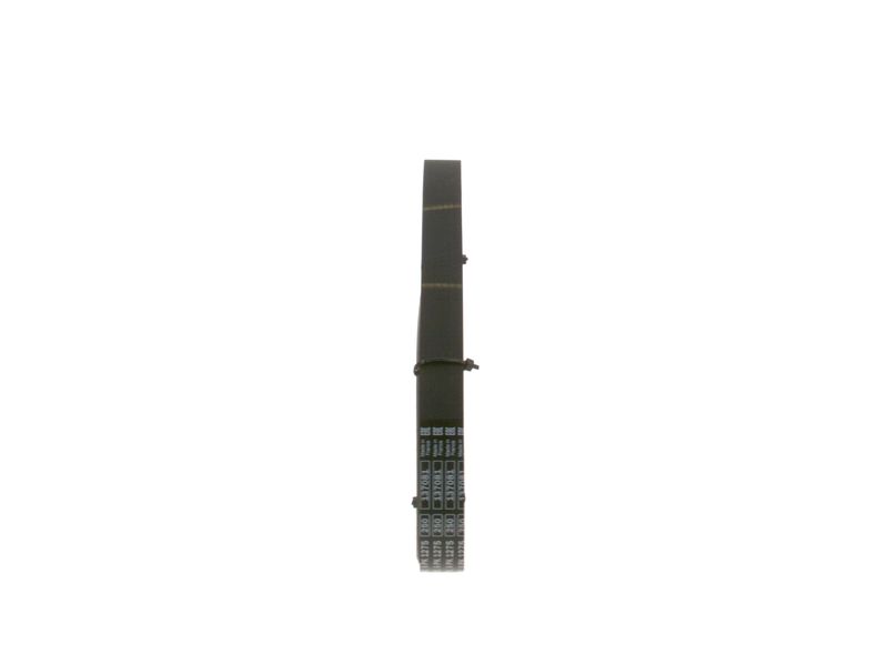 Kép 4
