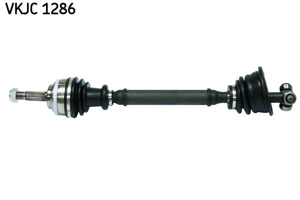 Kép 2