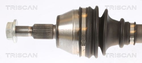 Kép 3