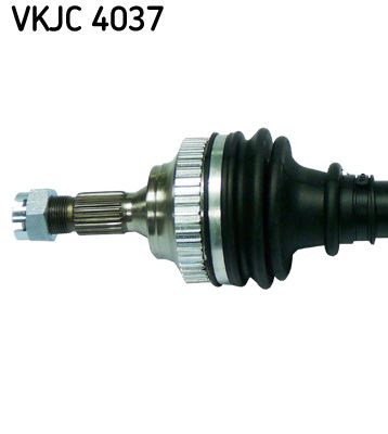 Kép 3
