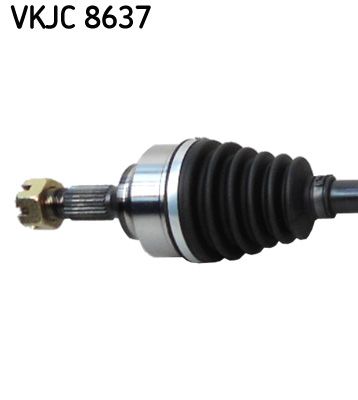 Kép 3