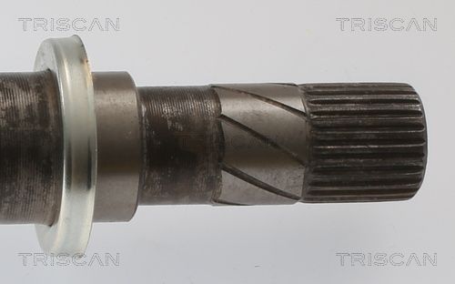 Kép 4