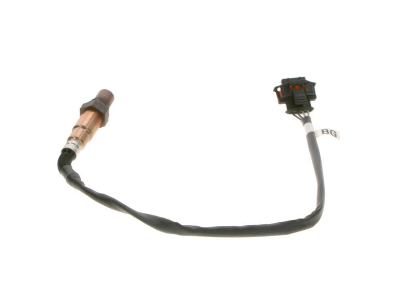 Kép 5