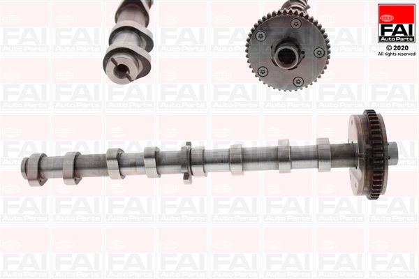 Termékfotó