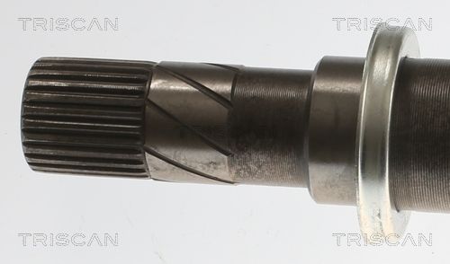 Kép 2