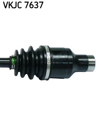 Kép 4