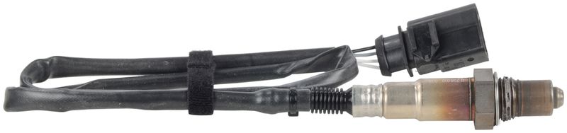 Kép 7
