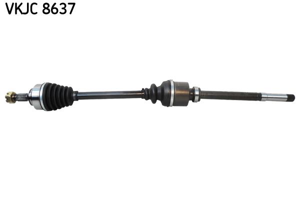 Kép 2