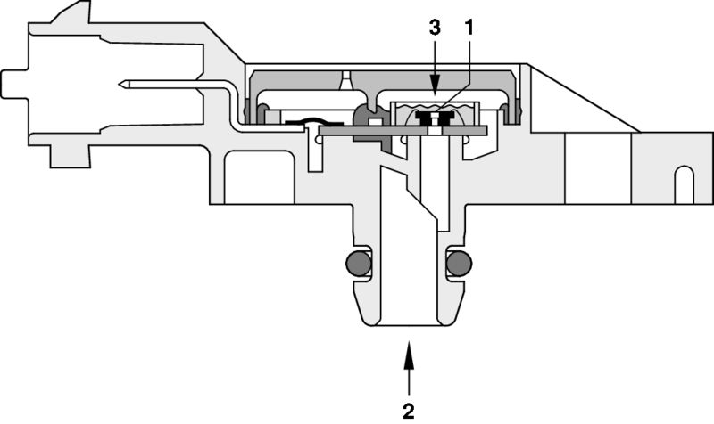 Kép 11