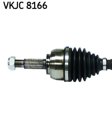 Kép 3