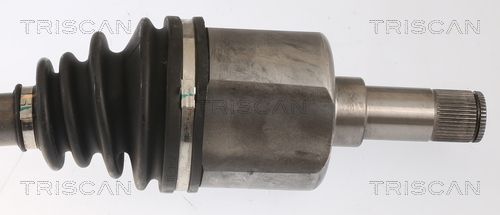 Kép 3