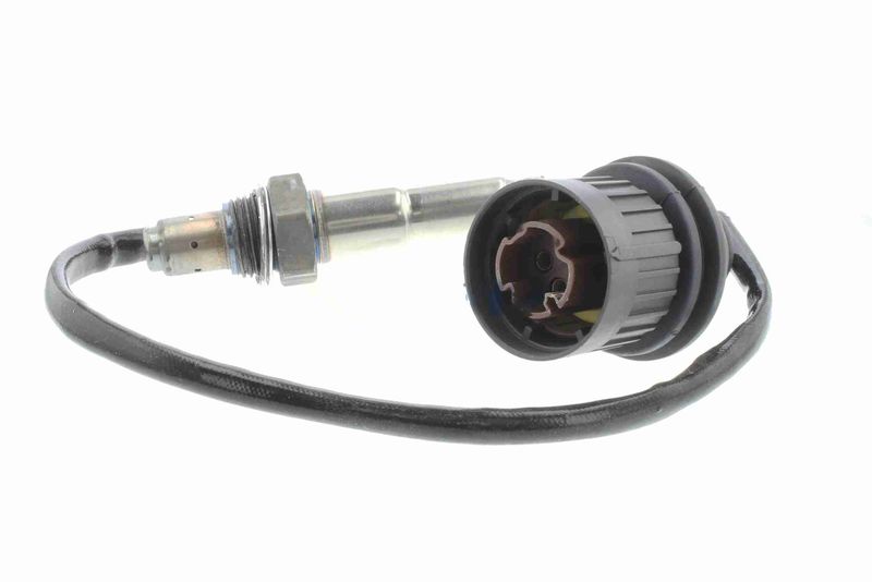 Kép 10