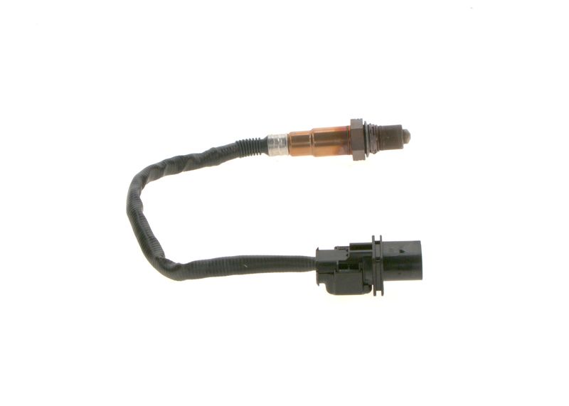 Kép 7