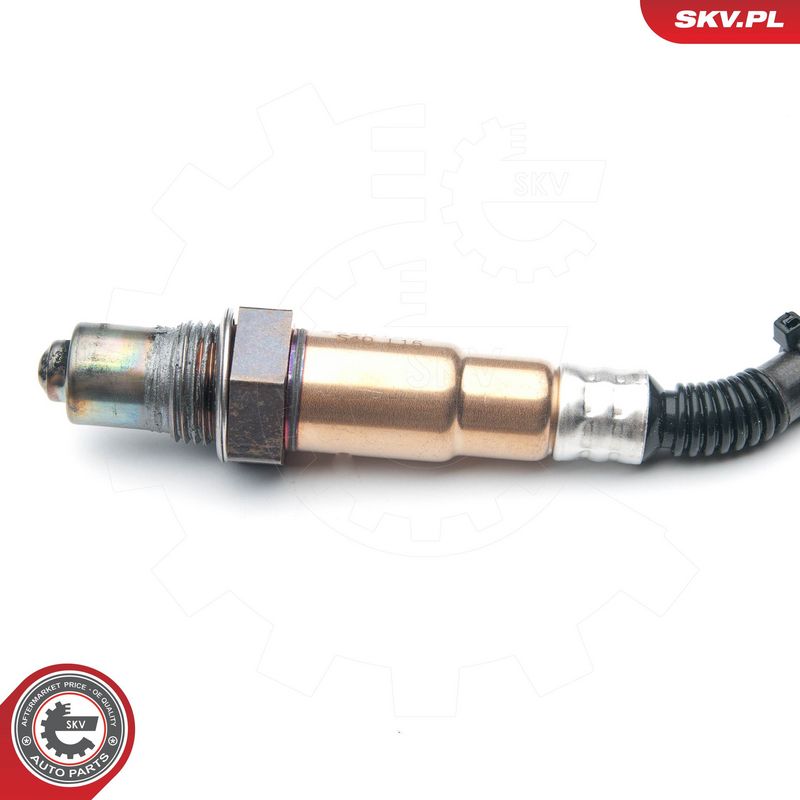 Kép 5