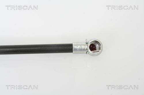 Kép 3