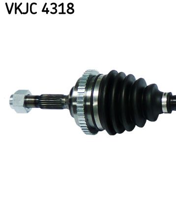 Kép 3