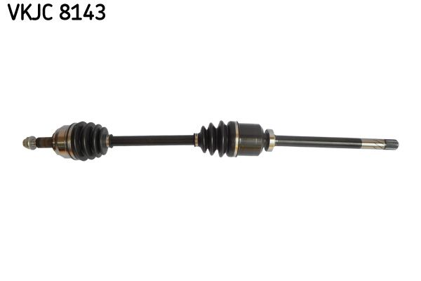 Kép 2