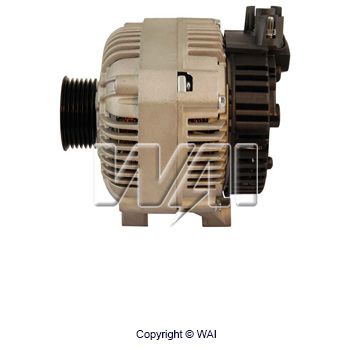 Kép 8