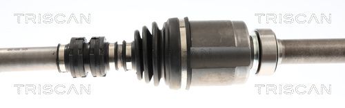 Kép 3