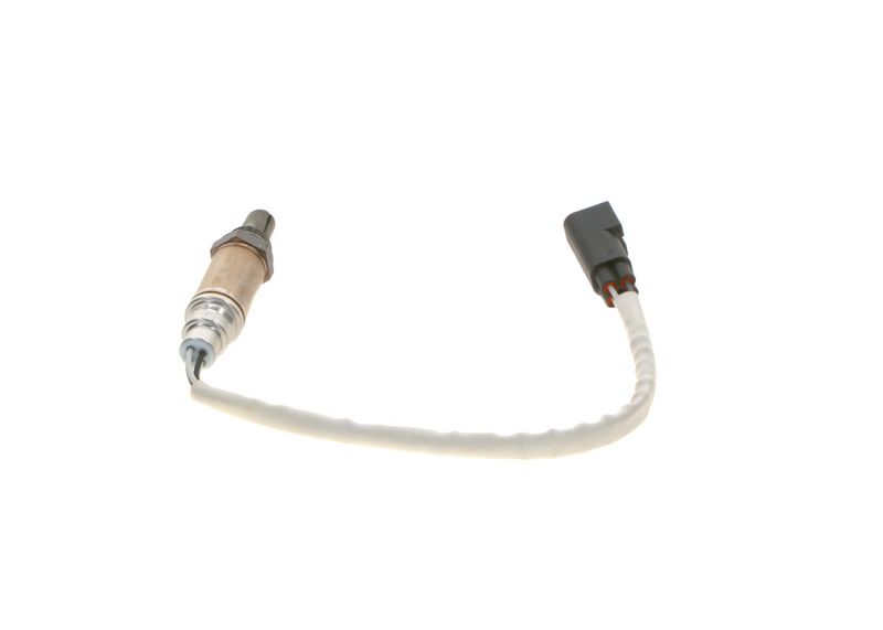 Kép 7