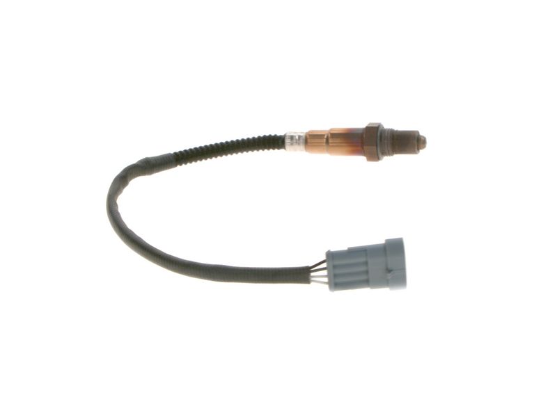Kép 6
