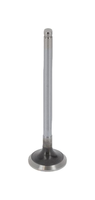 Kép 5