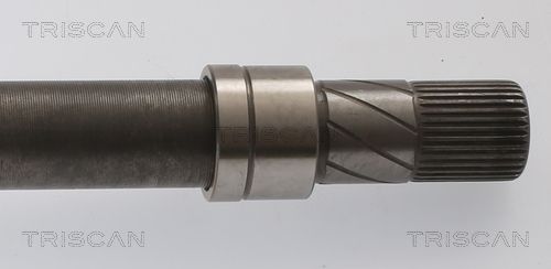 Kép 4