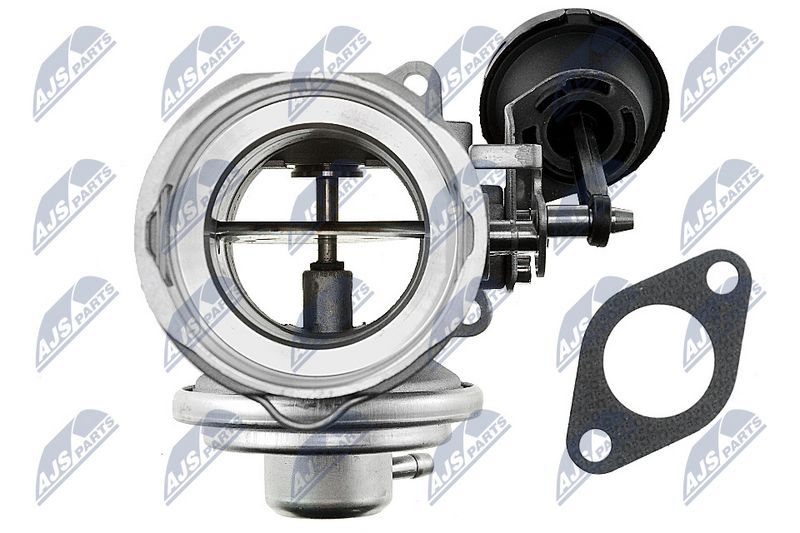 Kép 4