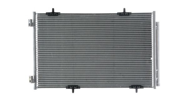 Kép 7