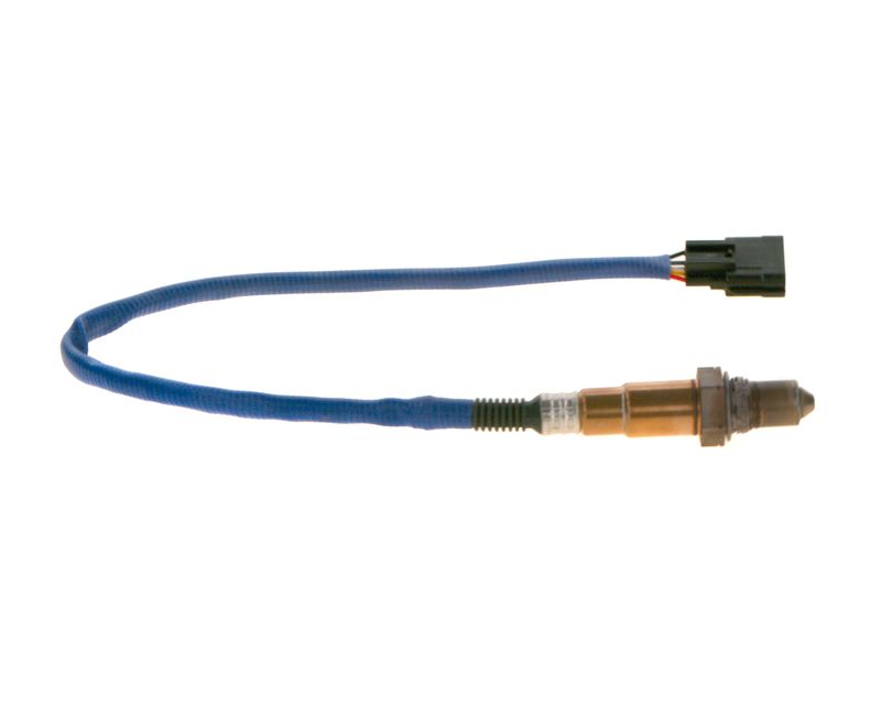Kép 6