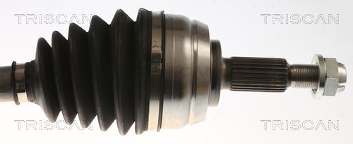 Kép 3