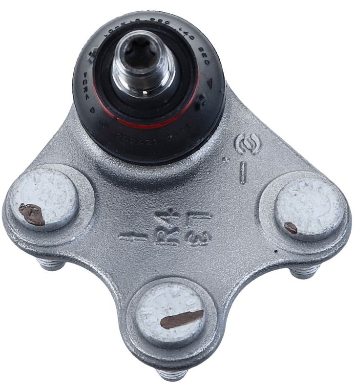 Kép 6