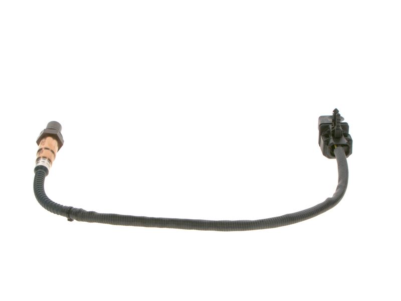 Kép 5