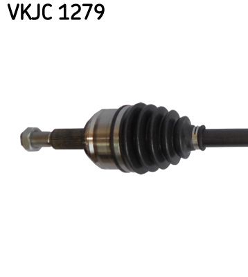 Kép 3