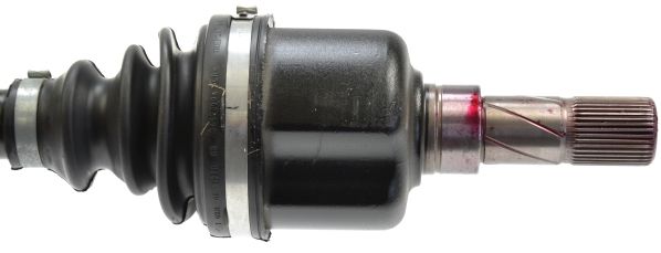Kép 3