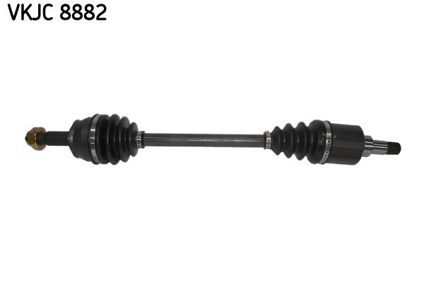 Kép 2