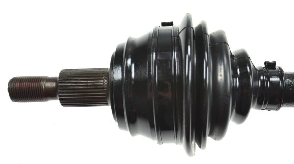 Kép 2