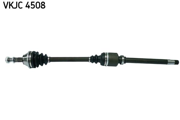 Kép 2