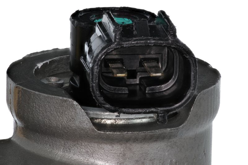 Kép 4