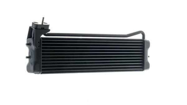 Kép 10
