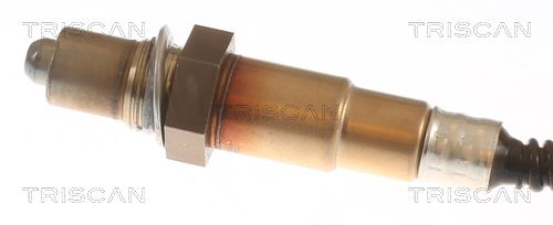 Kép 3