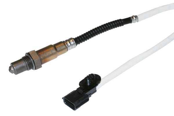 Kép 2