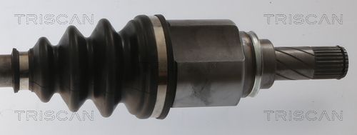 Kép 4