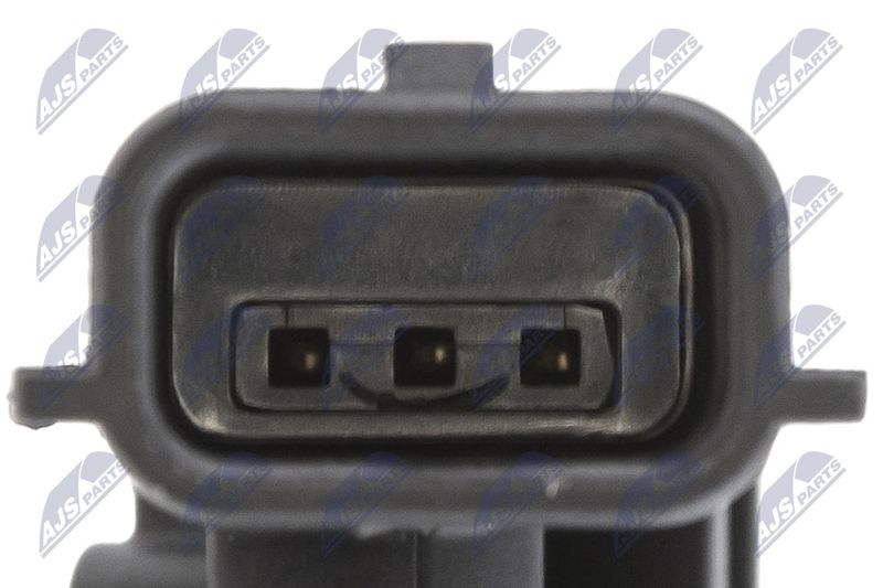 Kép 5