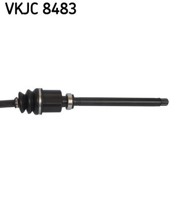 Kép 4