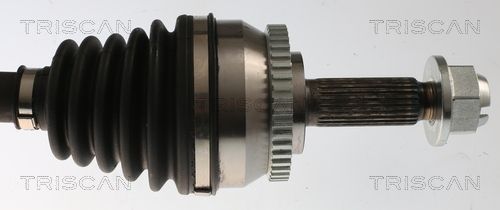 Kép 4