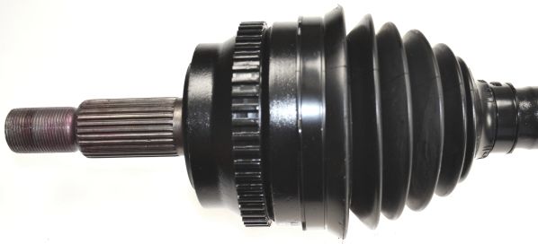 Kép 2