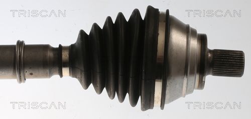 Kép 3