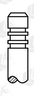 Kép 3